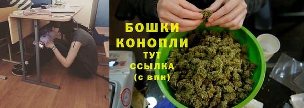 гашик Аркадак
