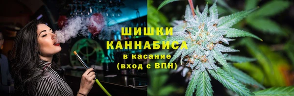 гашик Аркадак