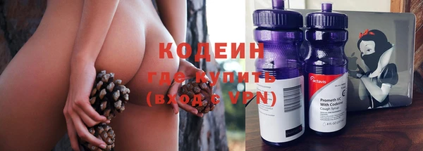 гашик Аркадак