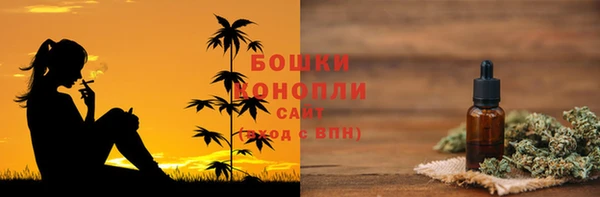 гашик Аркадак