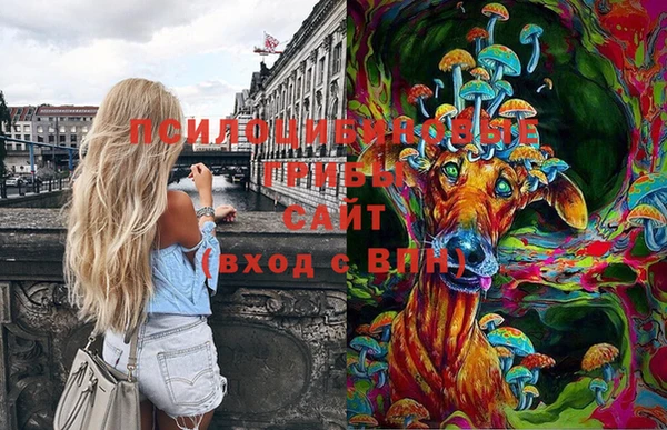 гашик Аркадак