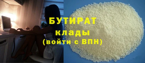 индика Инта