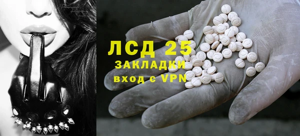 гашик Аркадак