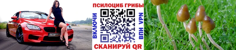 Псилоцибиновые грибы мицелий  Артёмовский 